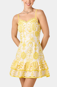 Sara Embroidered Mini Dress