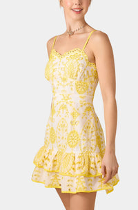 Sara Embroidered Mini Dress