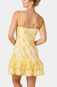 Sara Embroidered Mini Dress