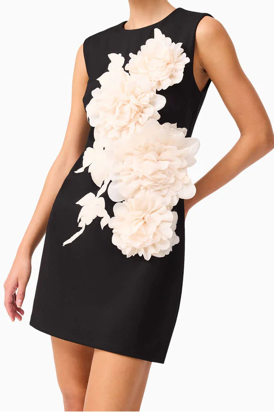 Elliatt Zahara Mini Dress