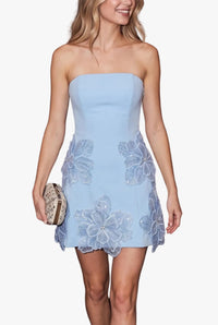 Farrah Strapless Mini Dress in Blue