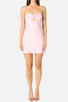 Nova Strapless Mini Dress