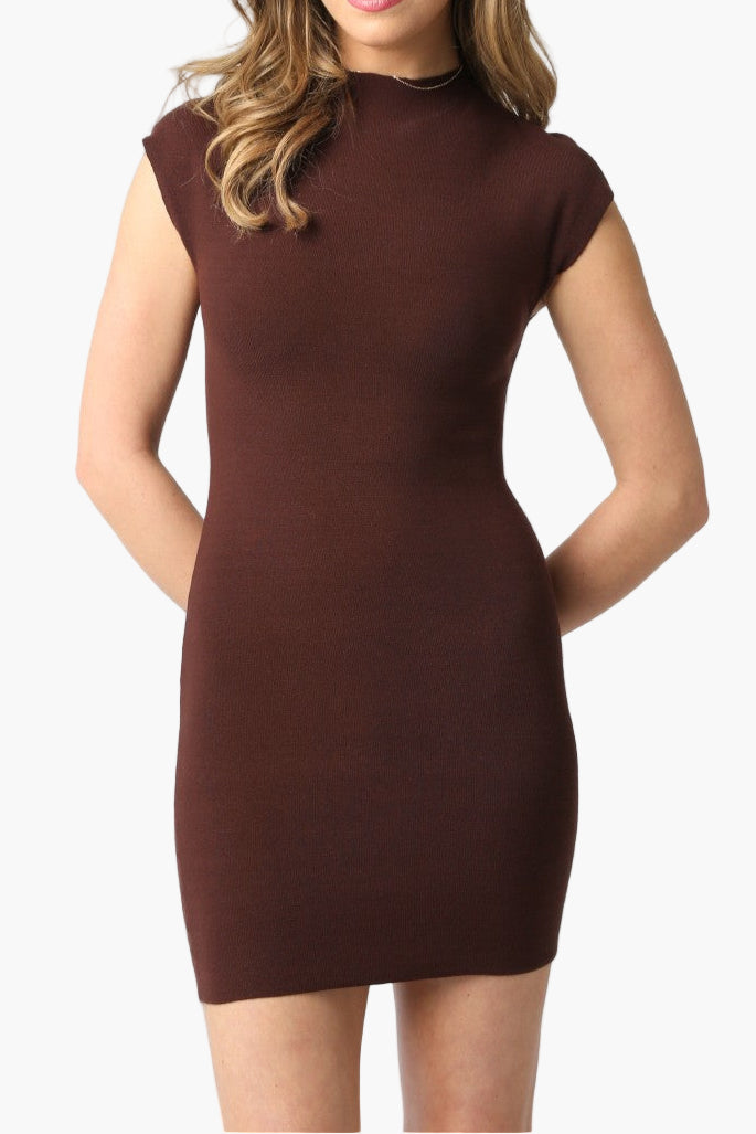 Penny Mock Neck Knit Mini Dress in Brown