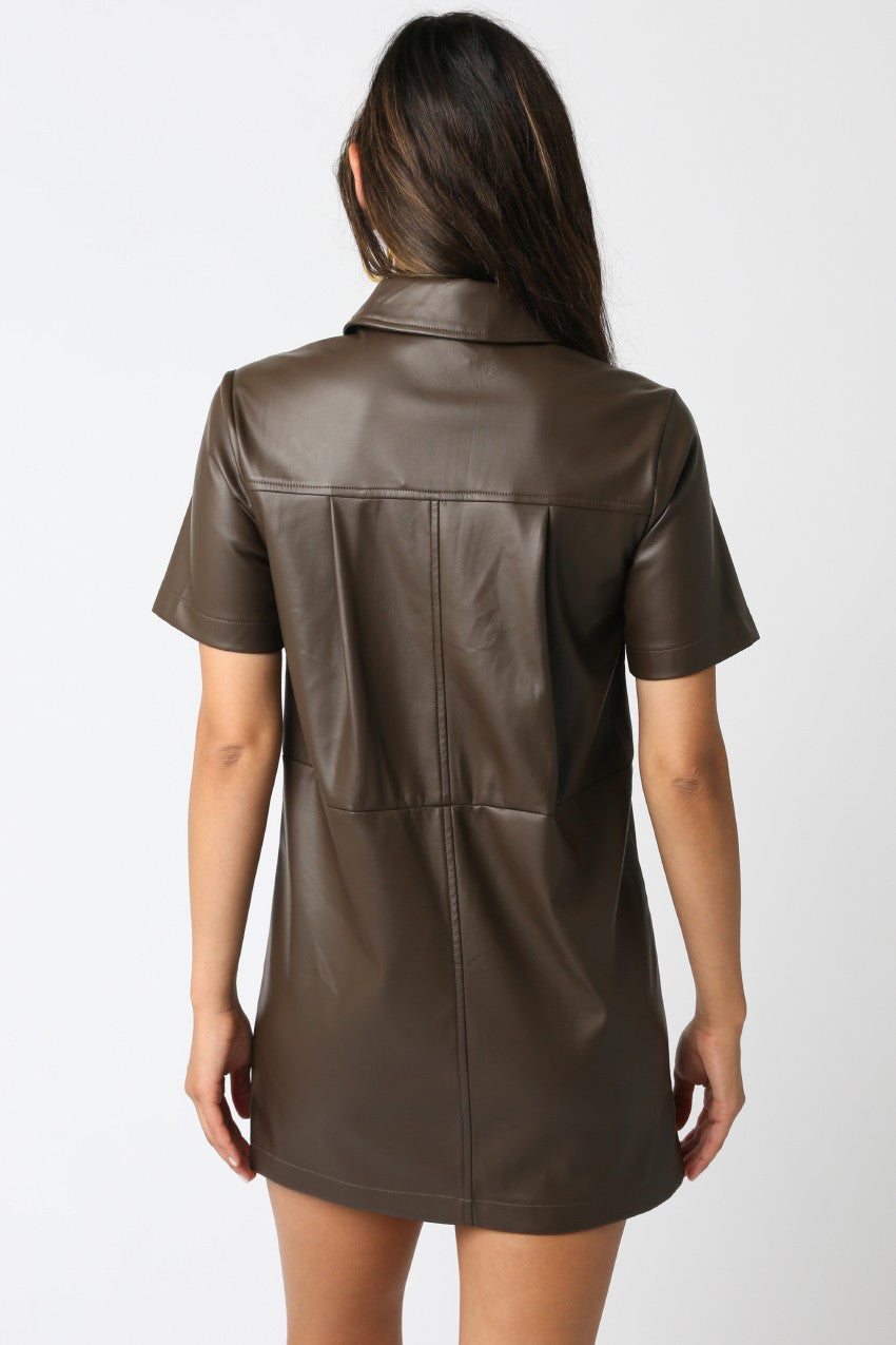 Locklyn Vegan Leather Mini Dress