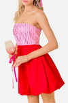 Alissa Two Tone Strapless Mini Dress