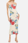 Terra Scuba Tube Floral Print Maxi Dress