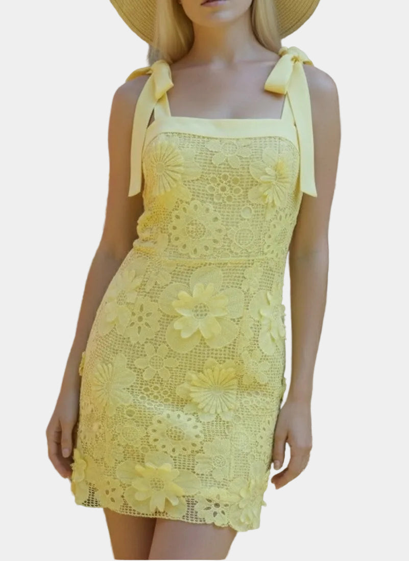 Beckett Lace Floral Mini Dress