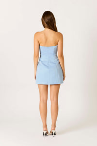 Briggs Strapless Mini Dress in Chambray