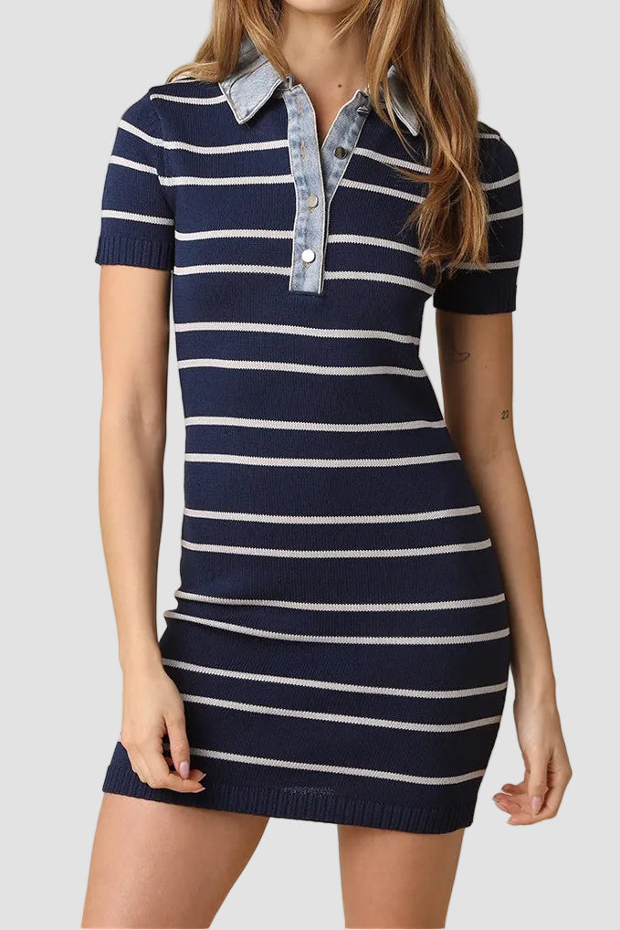Cecelia Stripe Collared Contrast Mini Dress