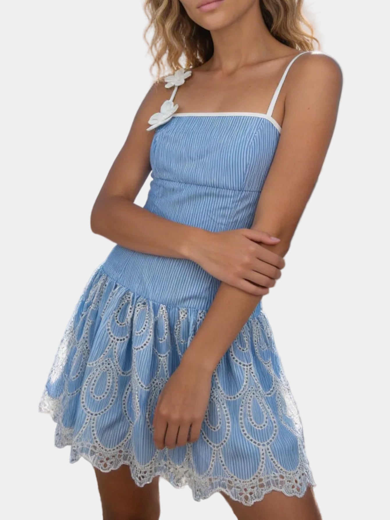 Kolbie Floral Applique Embroidered Stripe Mini Dress