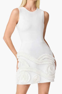 Elliatt Sonya Mini Dress