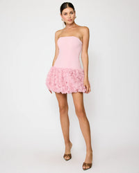 Line & Dot Madelena Mini Dress