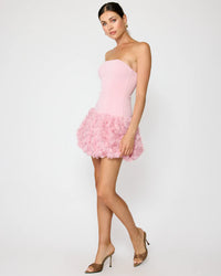 Line & Dot Madelena Mini Dress