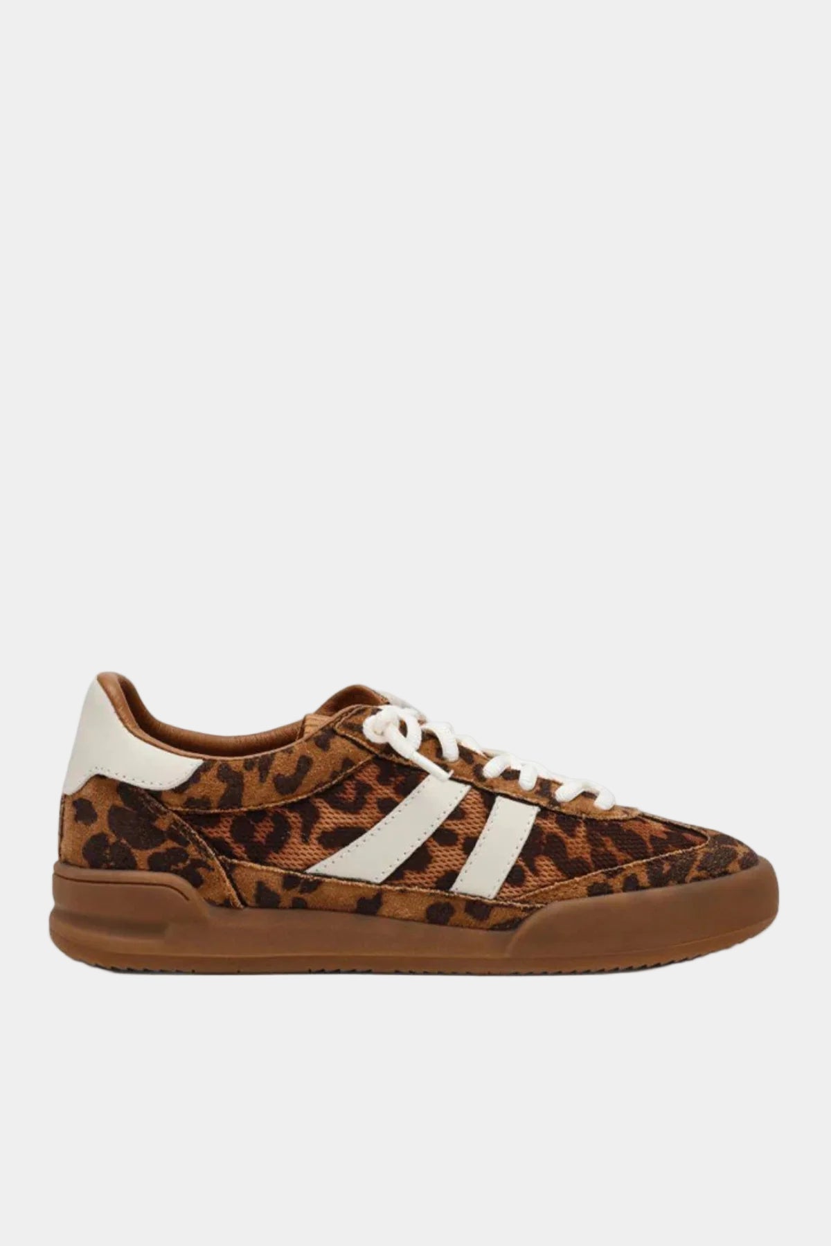 Steve Madden Verdict Sneaker In Leopard