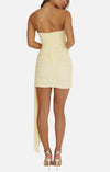 Romelle Drape Mini Dress