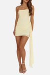 Romelle Drape Mini Dress