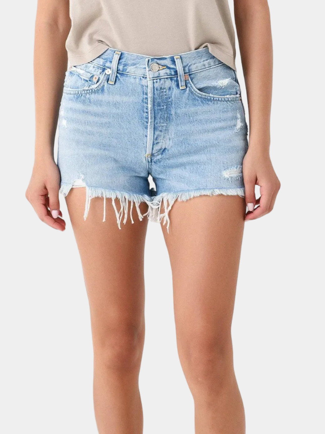 AGOLDE Parker Shorts in Swapmeet