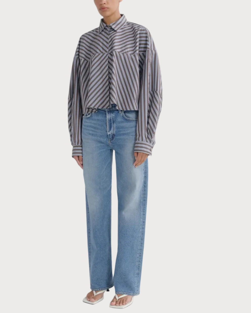 AGOLDE Ren High Rise Wide Leg Jeans in Measure