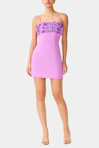 Elliatt Solenne Party Mini Dress in Orchid