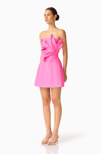 Elliatt Laurentia Floral Applique Mini Dress
