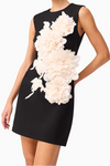 Elliatt Zahara Mini Dress