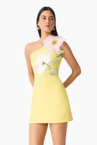 Elliatt Hope Mini Dress