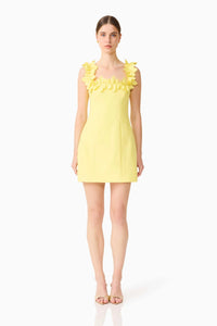 Elliatt Cara Mini Dress