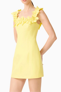 Elliatt Cara Mini Dress