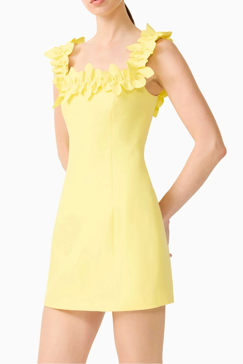 Elliatt Cara Mini Dress
