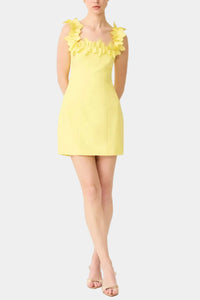 Elliatt Cara Mini Dress