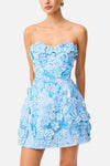 Elliatt Roseate Mini Dress