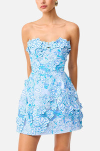 Elliatt Roseate Mini Dress