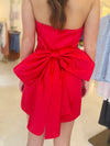 Melody Bow Back Taffeta Mini Dress