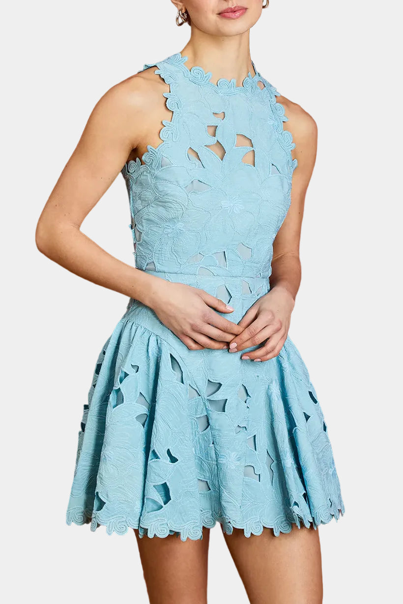 Saylor Franci Mini Dress