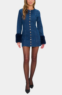 Show Me Your Mumu Rockefeller Mini Dress