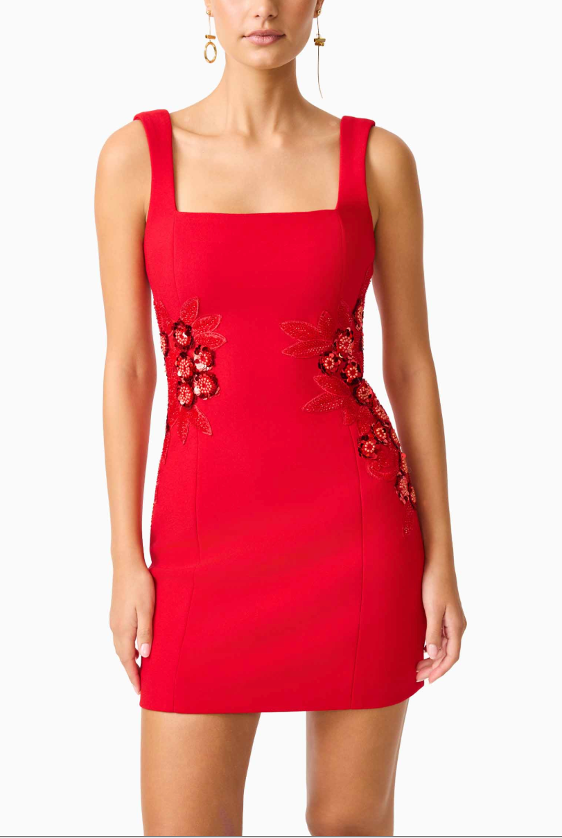 Elliatt Solina Mini Dress