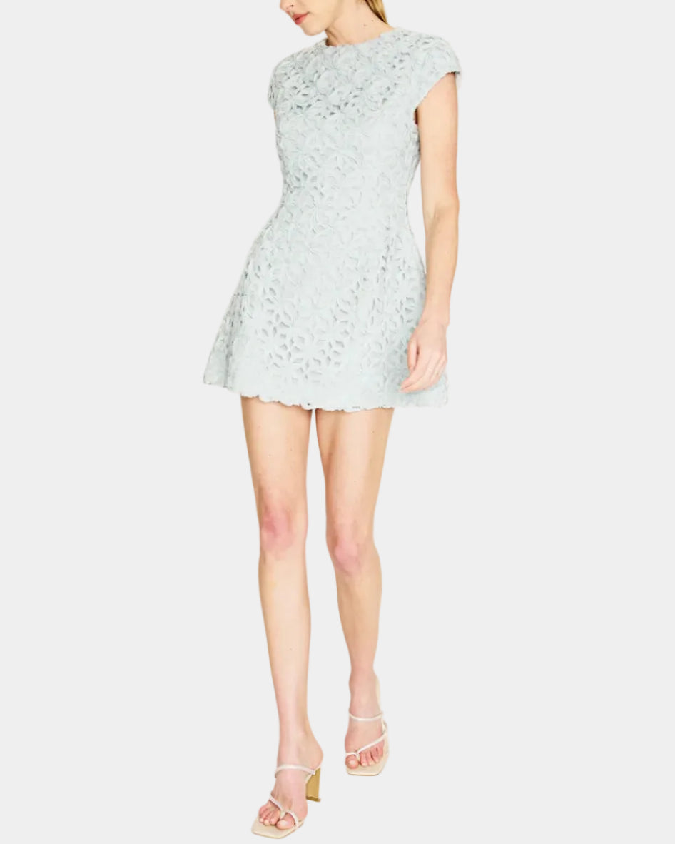 Line & Dot Aris Mini Dress