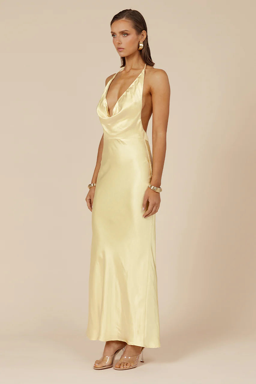 Runaway The Label Posey Maxi Dress