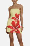 Runaway The Label Primrose Mini Dress