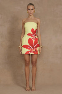 Runaway The Label Primrose Mini Dress