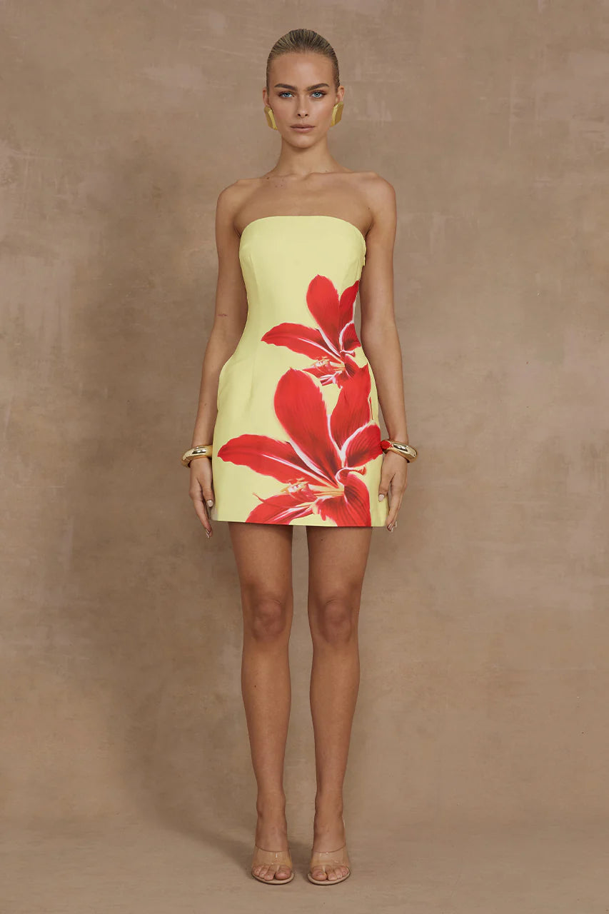 Runaway The Label Primrose Mini Dress