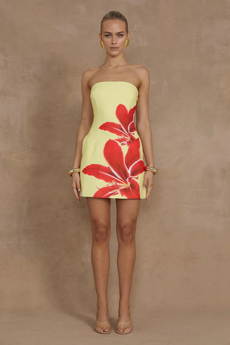 Runaway The Label Primrose Mini Dress