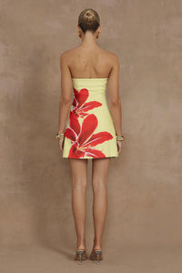 Runaway The Label Primrose Mini Dress