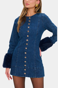 Show Me Your Mumu Rockefeller Mini Dress