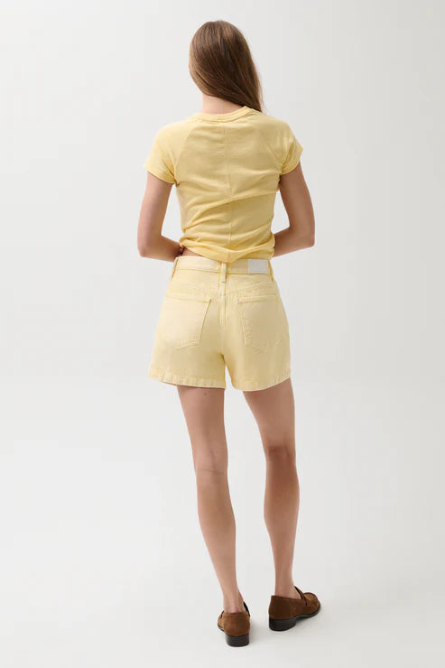 Pistola Sage High Rise A Line Shorts