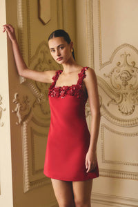 Elliatt Lucetta Shift Mini Dress