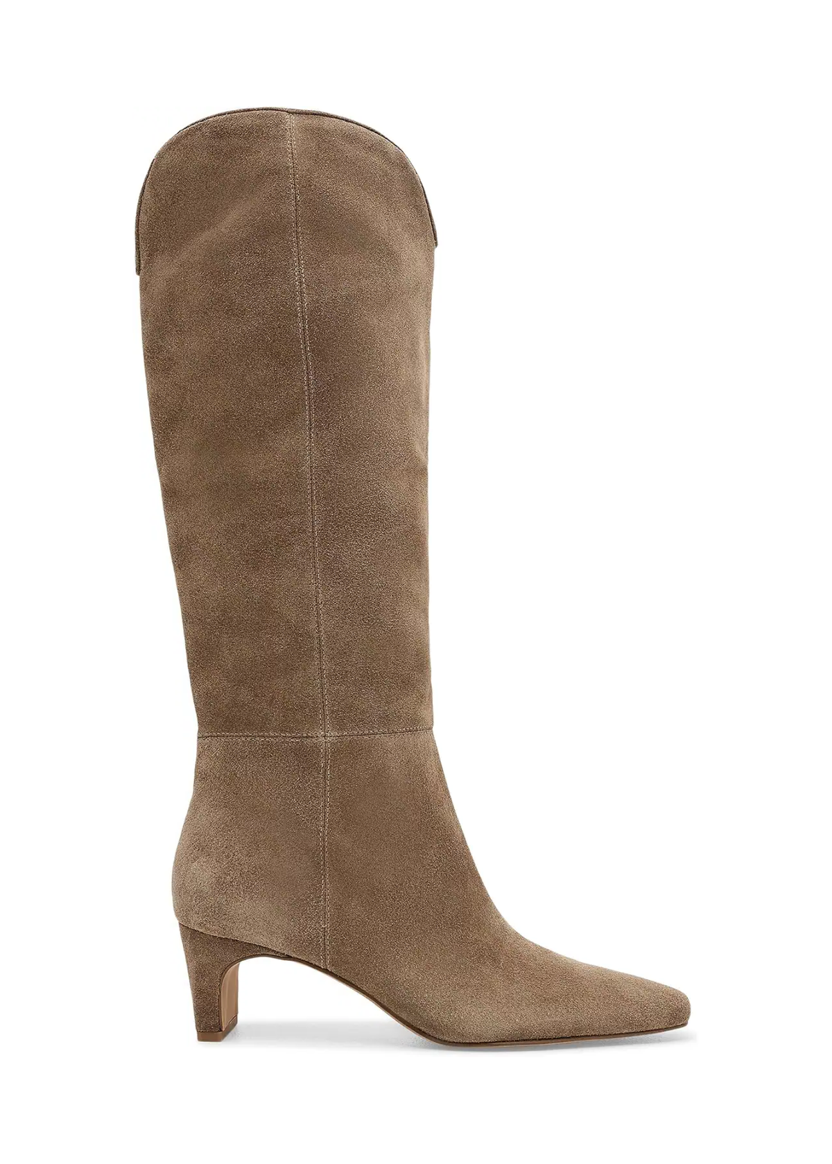 Dolce Vita Brion Tall Suede Boots