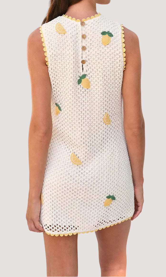 Saylor Wynn Mesh Crochet Mini Dress