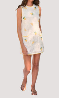 Saylor Wynn Mesh Crochet Mini Dress