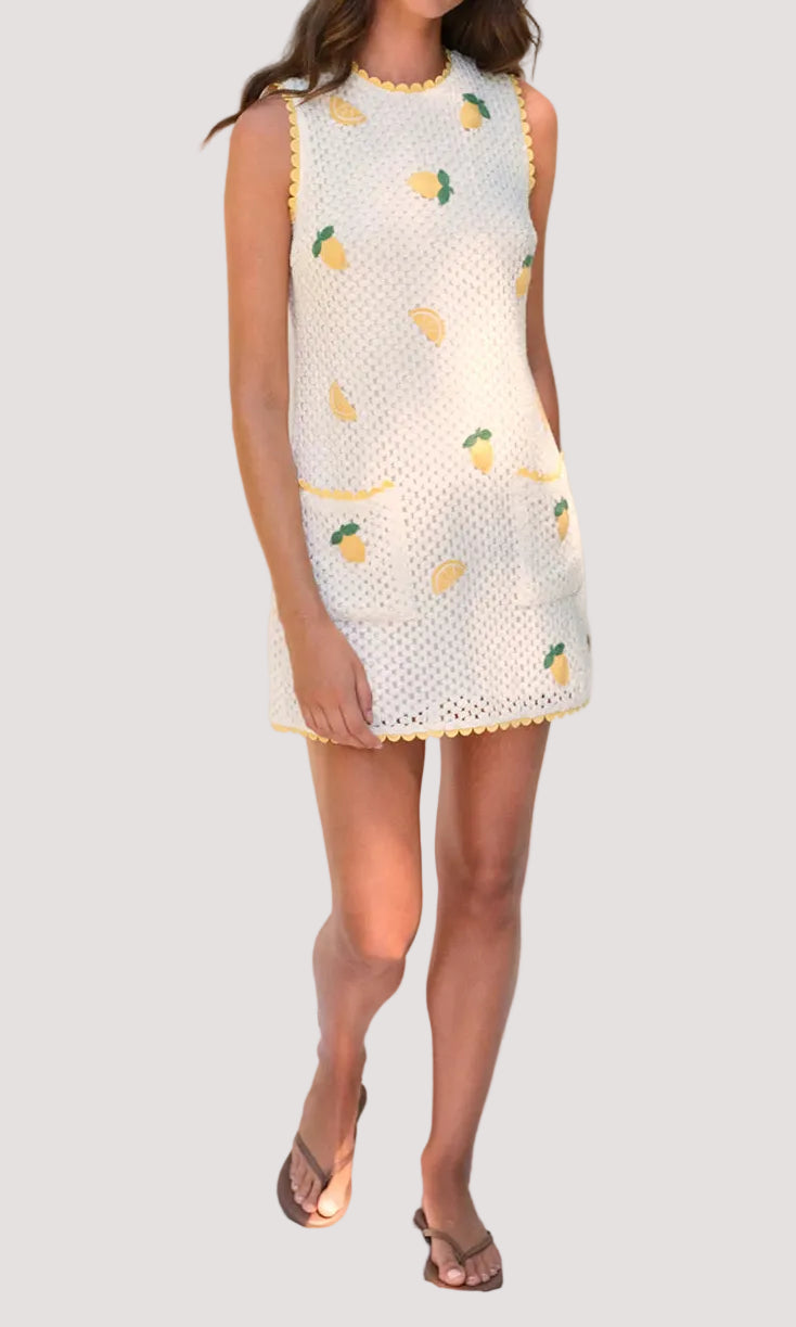 Saylor Wynn Mesh Crochet Mini Dress